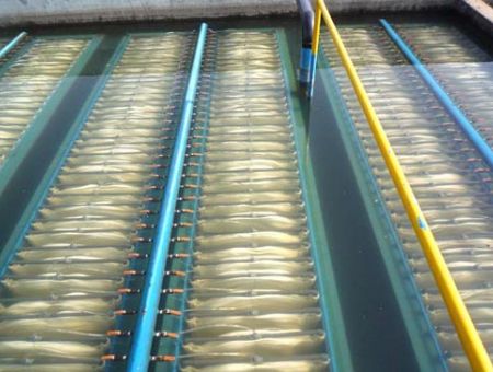 點擊查看詳細信息<br>標題：MBR膜生物反應器 閱讀次數：2703